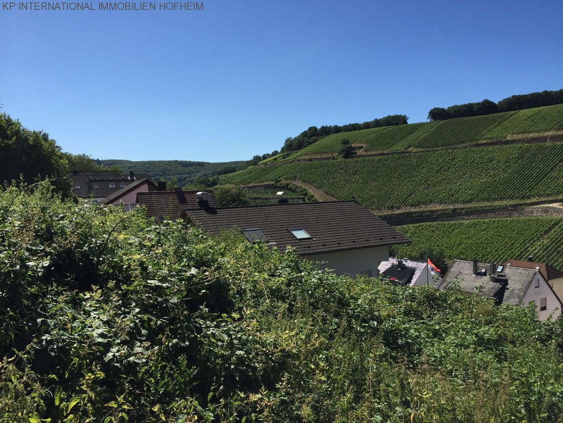 ***TOP Grundstück in Rüdesheim am Main - über 1000m² und super Ausblick***