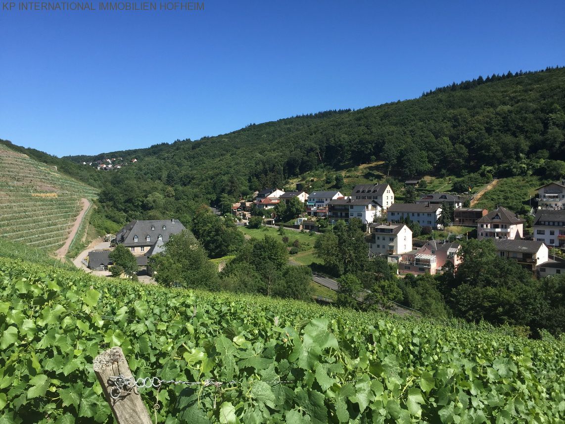 ***TOP Grundstück in Rüdesheim am Main - über 1000m² und super Ausblick***