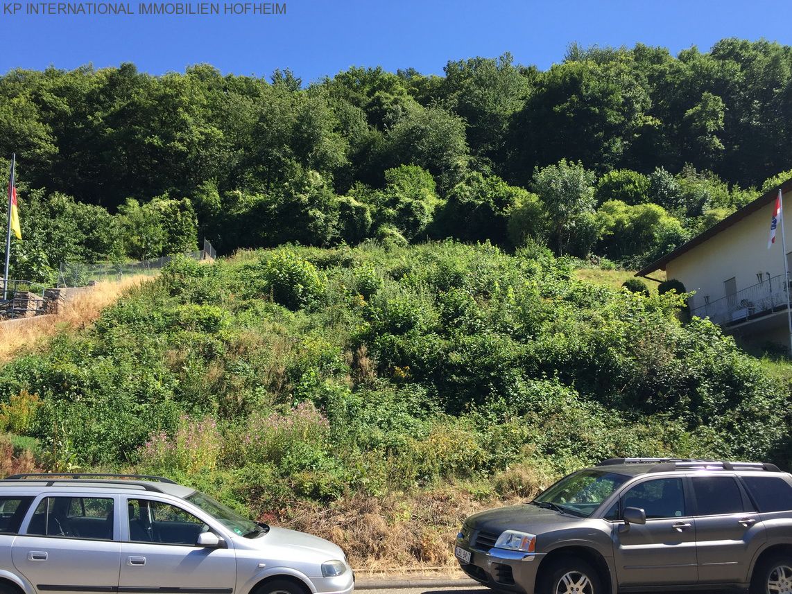 ***TOP Grundstück in Rüdesheim am Main - über 1000m² und super Ausblick***