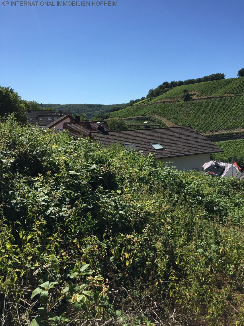 ***TOP Grundstück in Rüdesheim am Main - über 1000m² und super Ausblick***