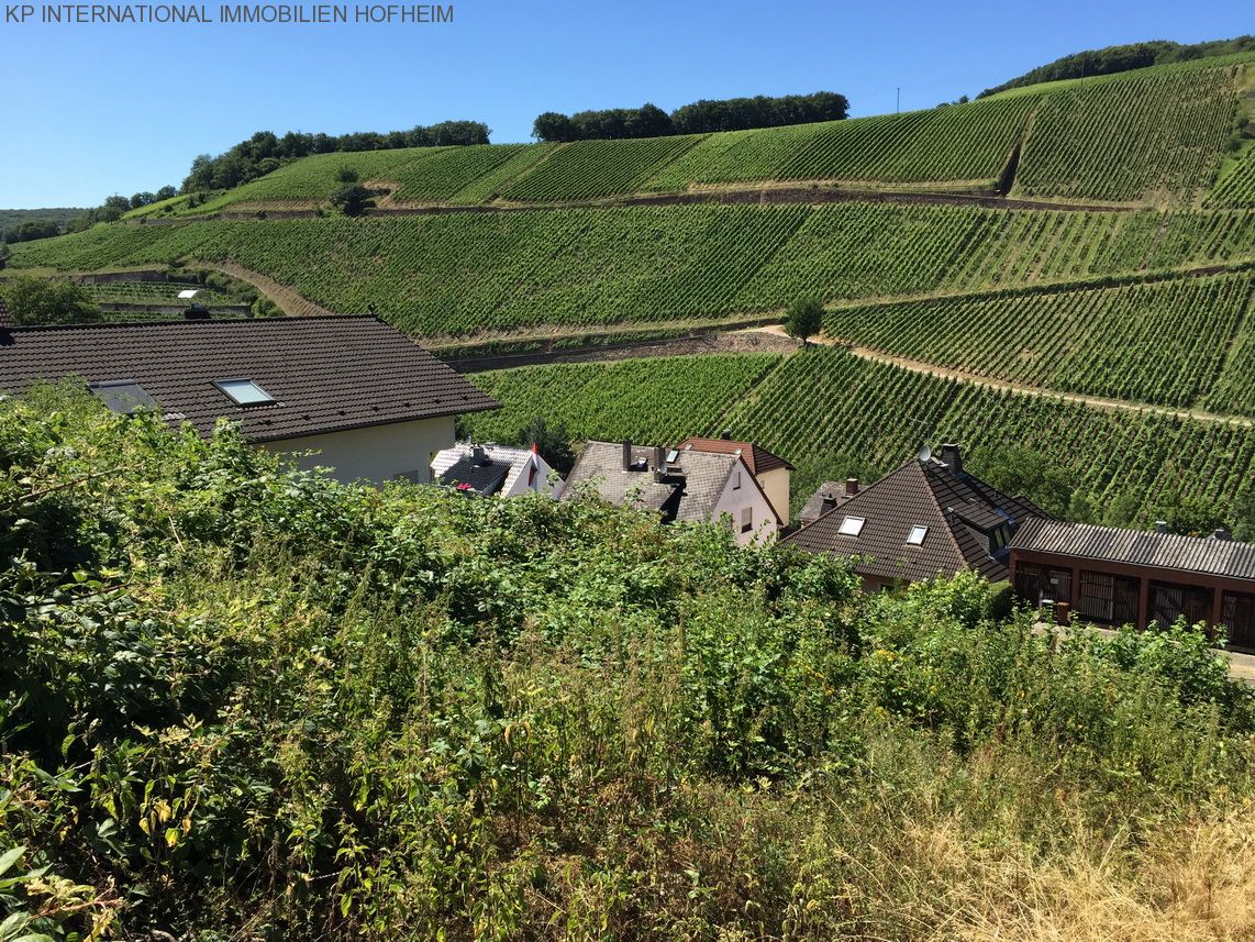 ***TOP Grundstück in Rüdesheim am Main - über 1000m² und super Ausblick***