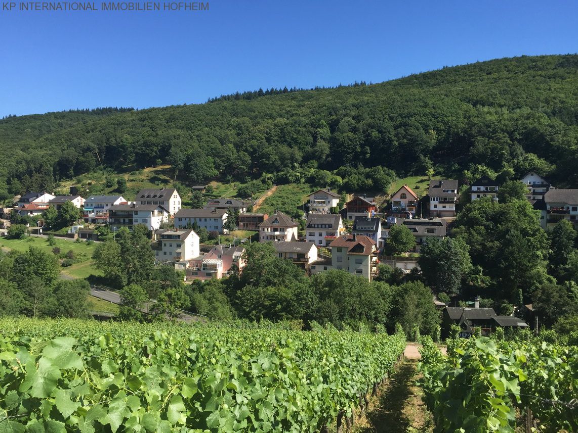 ***TOP Grundstück in Rüdesheim am Main - über 1000m² und super Ausblick***