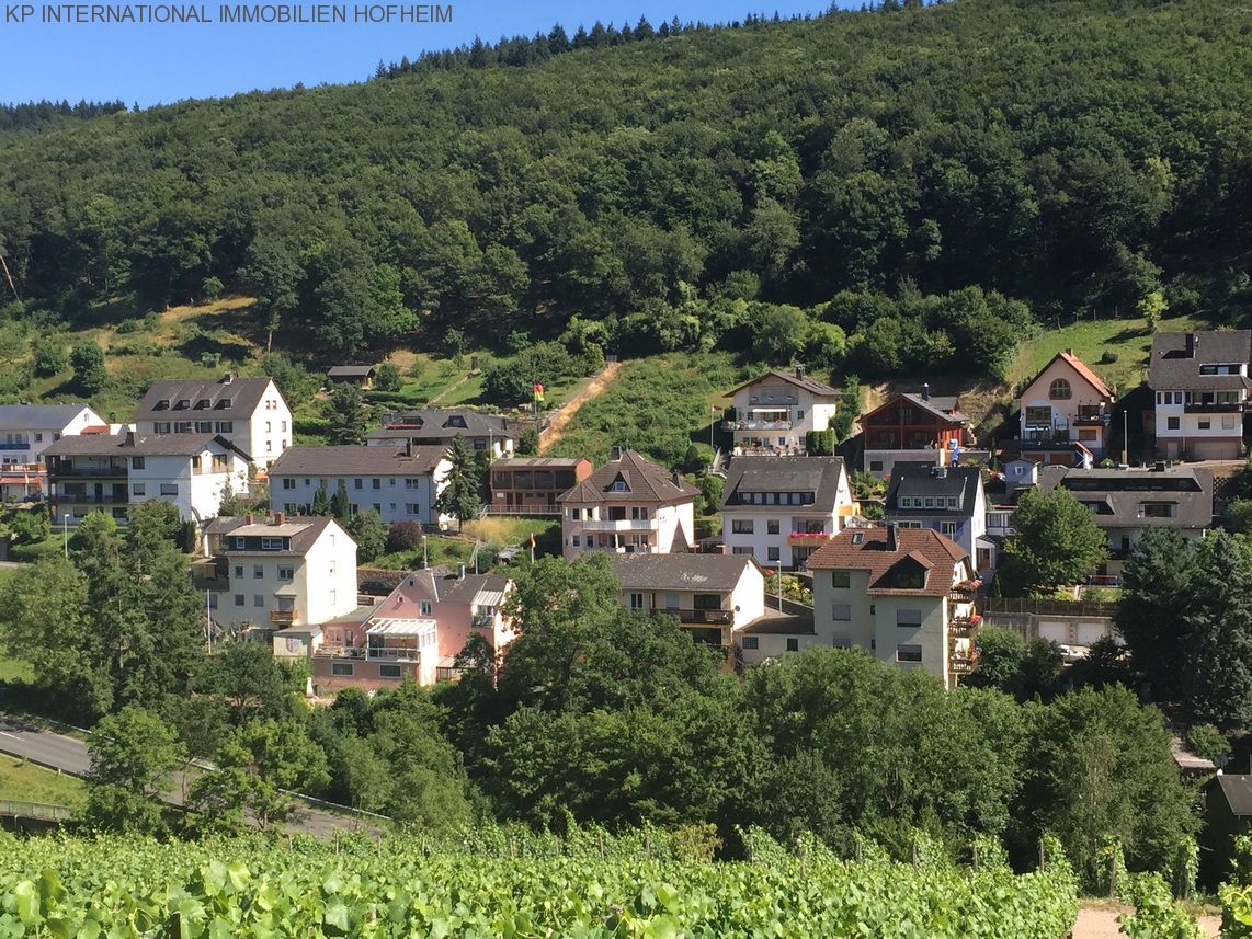 ***TOP Grundstück in Rüdesheim am Main - über 1000m² und super Ausblick***