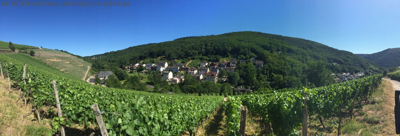 ***TOP Grundstück in Rüdesheim am Main - über 1000m² und super Ausblick***