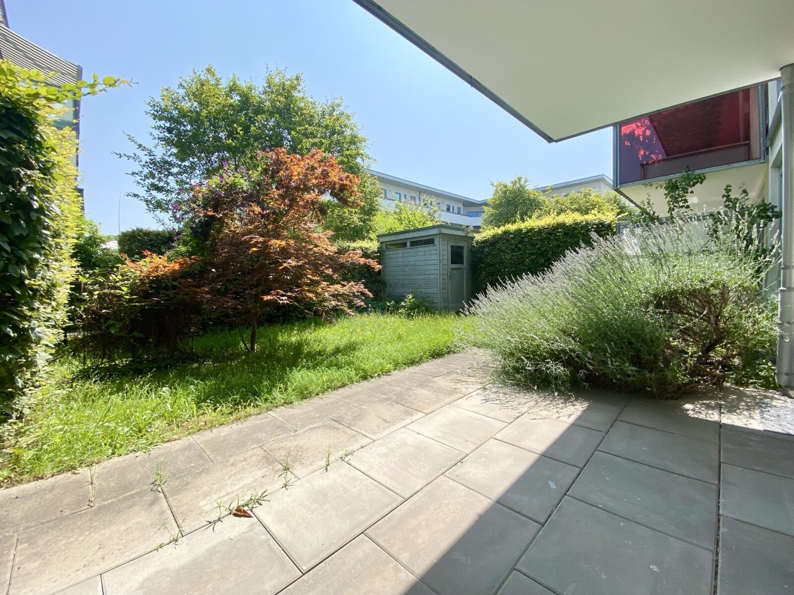 *** VERMIETET *** HATTERSHEIM: GEMÜTLICHE 2 ZIMMER WOHNUNG MIT EBK, BAD, TERRASSE, GARTEN UND GARAGE***