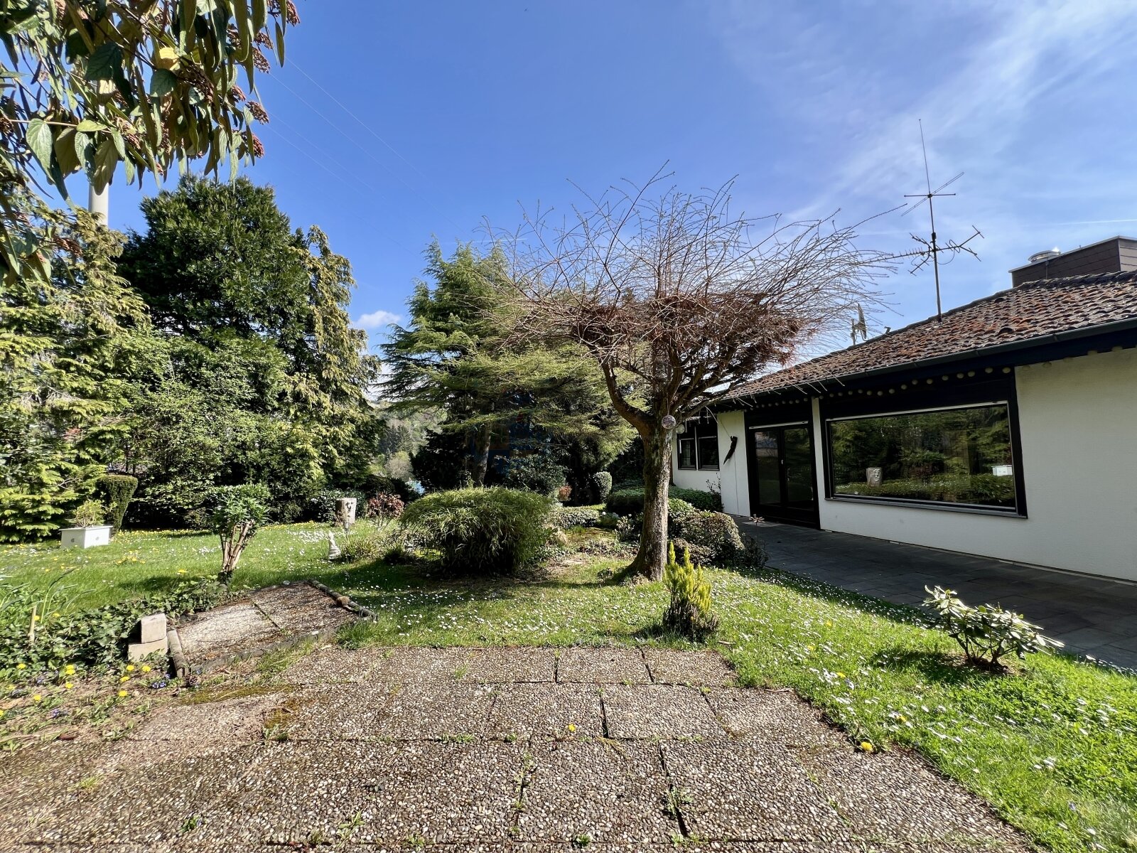 BAD SODEN: GROSSZUEGIGER BUNGALOW AUF GROSSEM EXKLUSIVEM GRUNDSTÜCK