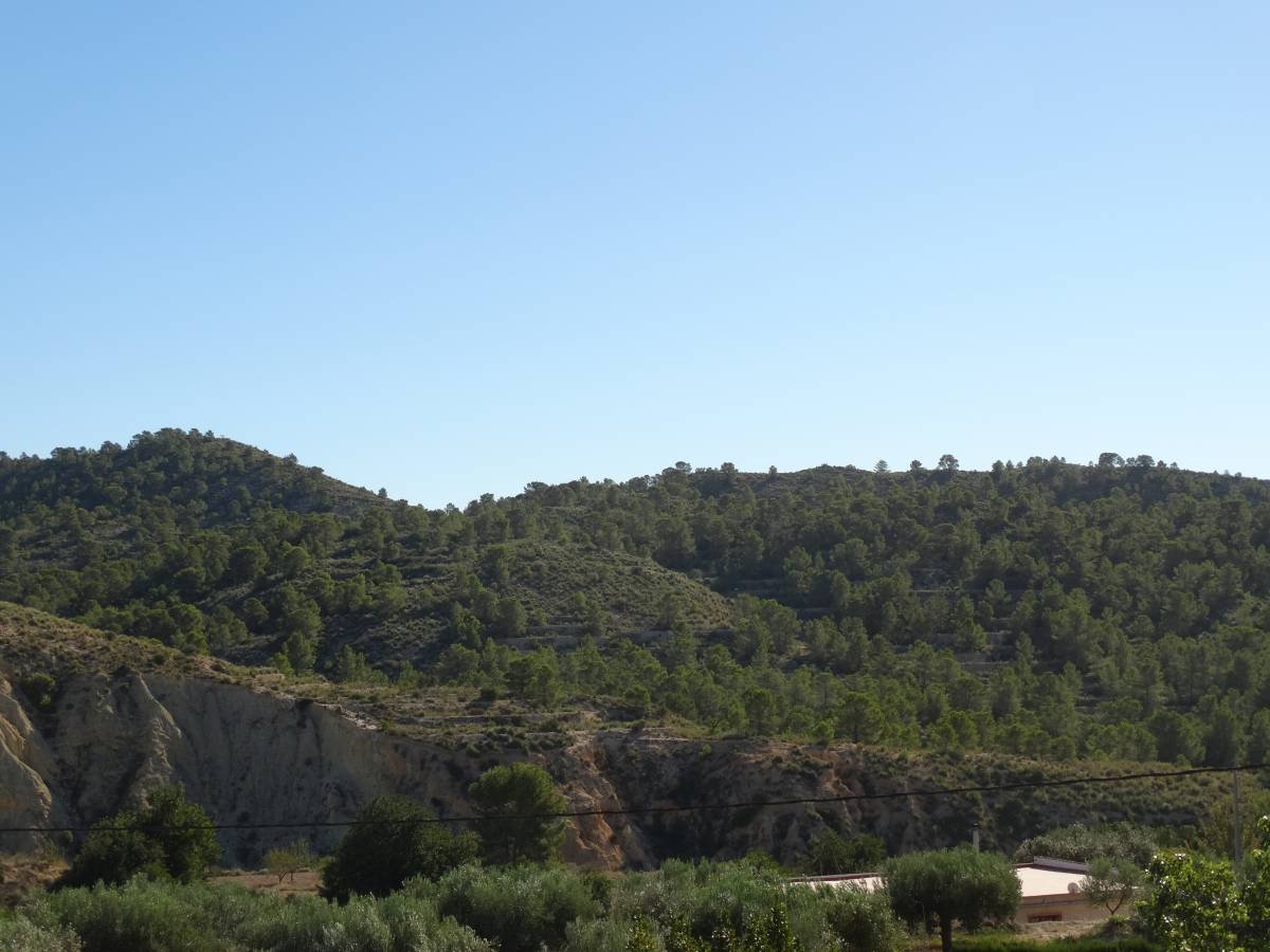 Großzügiges Anwesen mit 6 Schlafzimmern und 3.000 m² Grundstück in Aigües de Busot