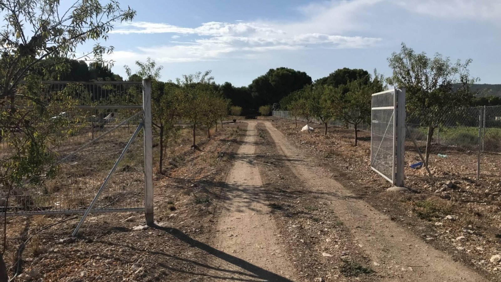 Villa Zen – Luxus, Pool & Solarium