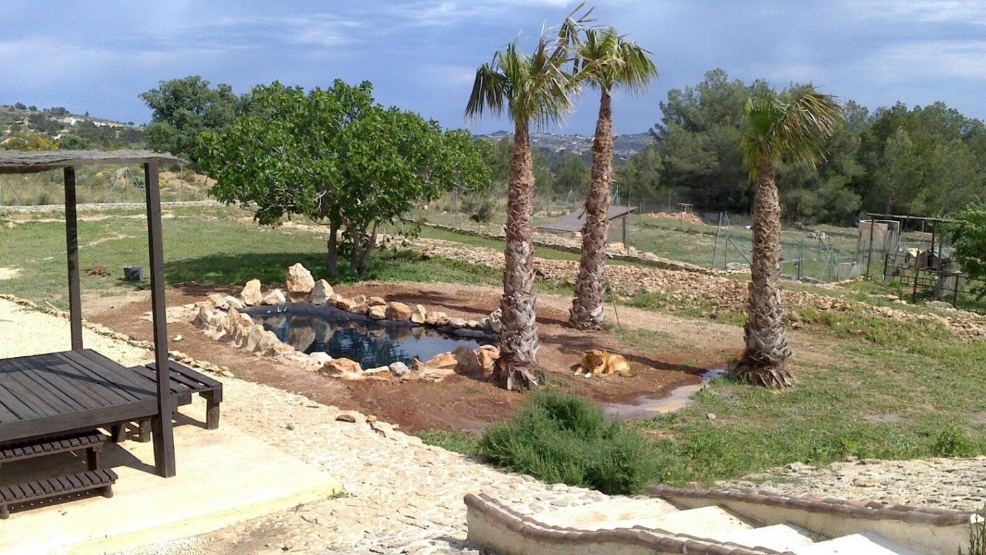 Charmante Finca mit Hotel-Lizenz und Potenzial