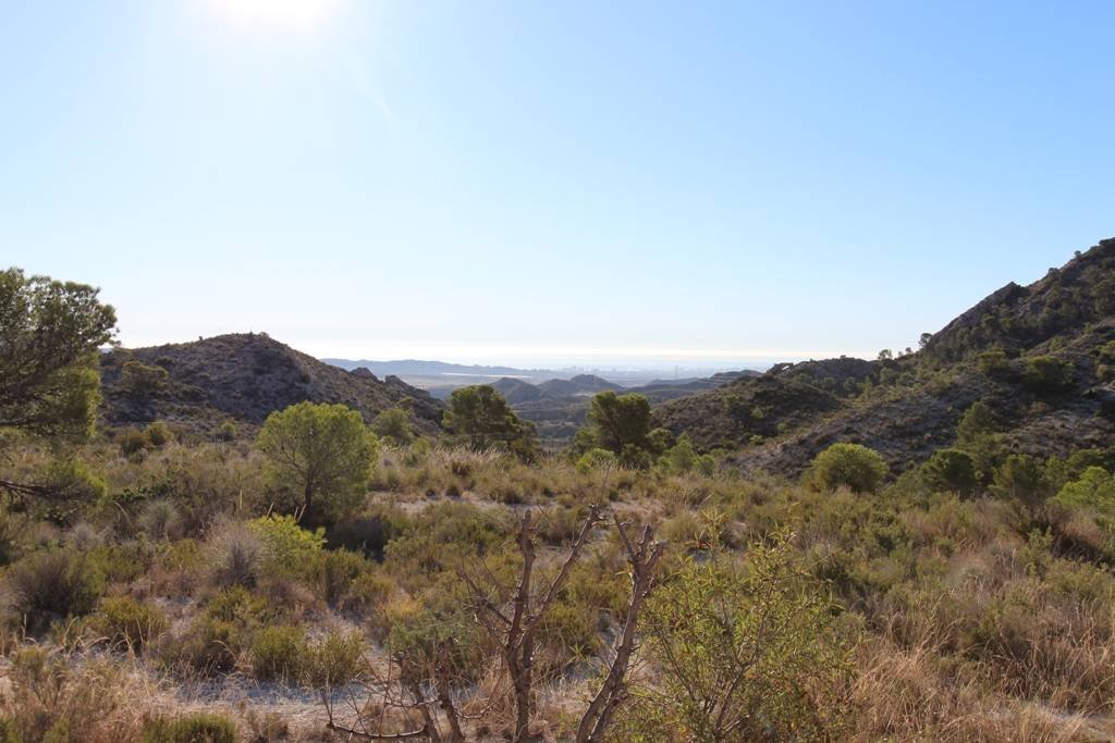 This villa is located in the beautiful natural environment of Jijona. The villa has a nice large plot of 25,000 m2.The beautiful nature that surrou...