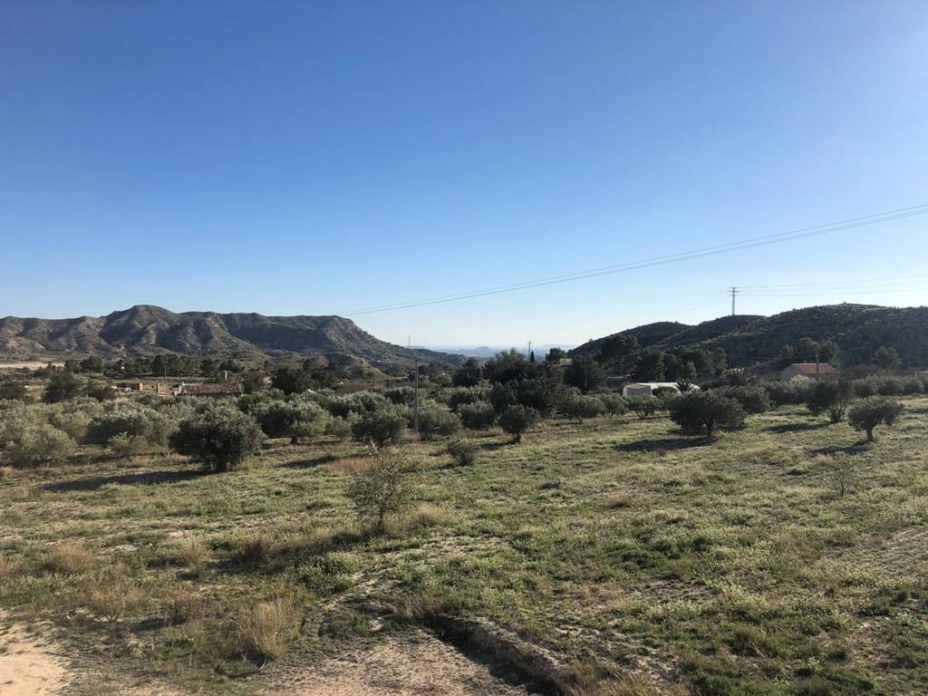 Finca of approximately 500 m2 useful, with a plot of 17,000 m2 to finish, with many possibilities.