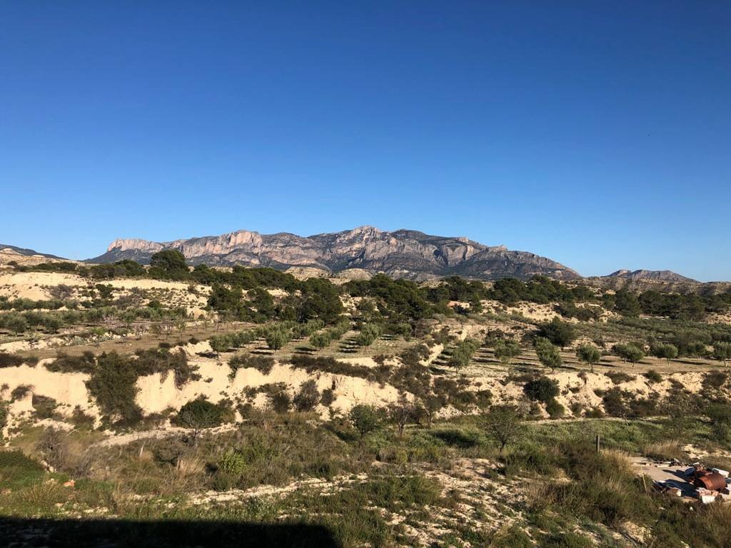 Finca of approximately 500 m2 useful, with a plot of 17,000 m2 to finish, with many possibilities.