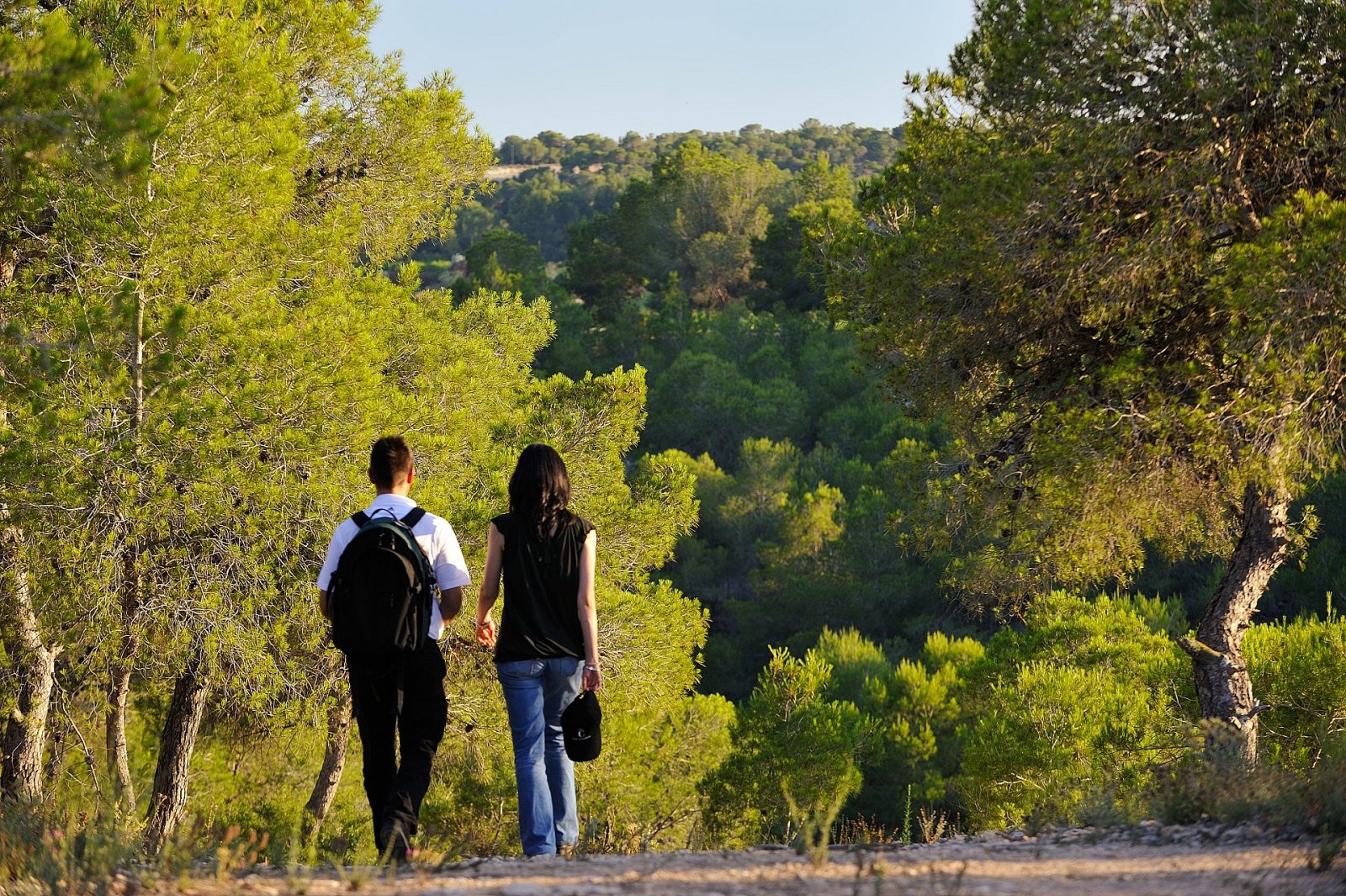 <p>Villa provided with 3 Bedrooms and 2 Bathrooms, private swimming pool and parking space on own plot. </p><p>The eight semi-detached Larus villas...