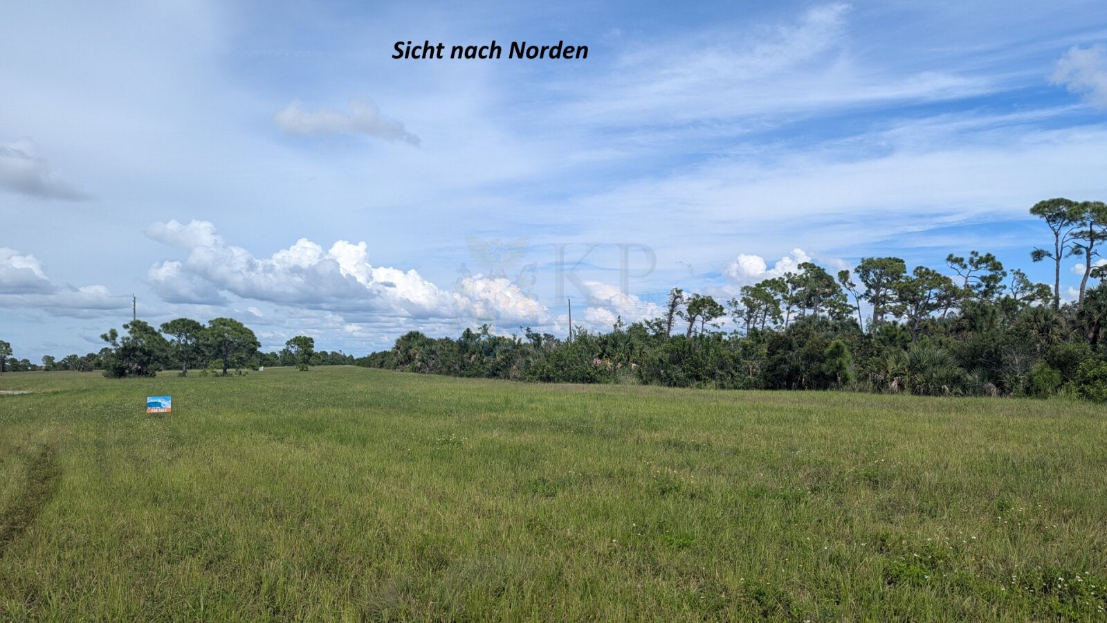 EUR 49/m² - WSG – Investition mit Aussicht – Wassergrundstück in Florida