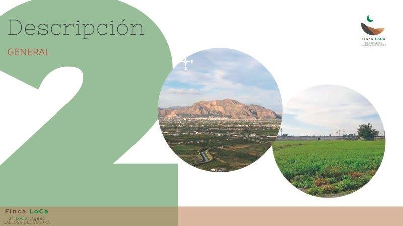   Rustic property of 46,816 m2 (the minimum to build a legal home is 10,000 m2) with a house to reform and more than enough water supply to irrigat...