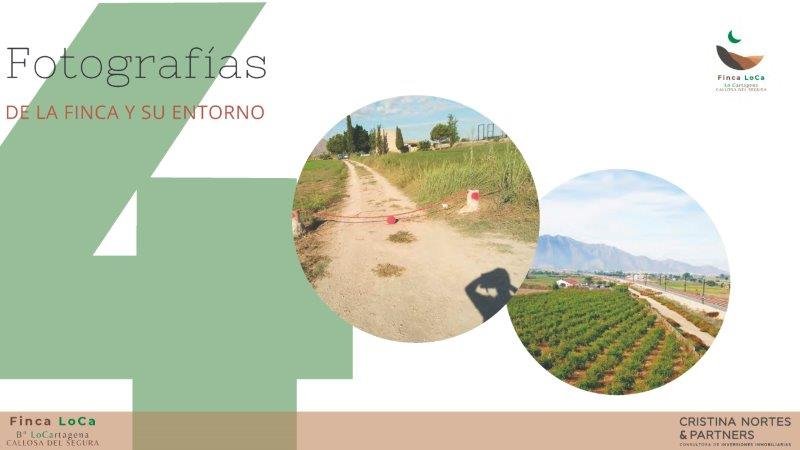   Rustic property of 46,816 m2 (the minimum to build a legal home is 10,000 m2) with a house to reform and more than enough water supply to irrigat...