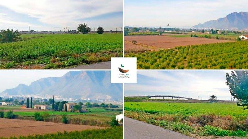   Rustic property of 46,816 m2 (the minimum to build a legal home is 10,000 m2) with a house to reform and more than enough water supply to irrigat...