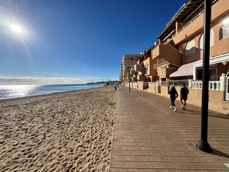 La Mata: Direkt am Strand: Ihr neues Wohlfühlzuhause 