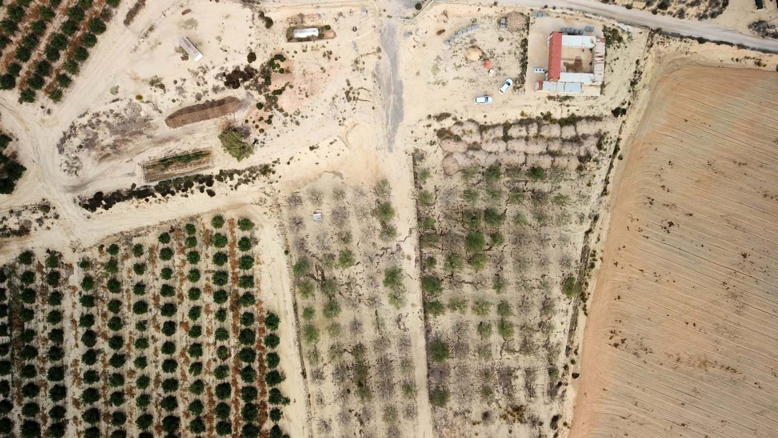   This 10.000m2 Plot in Torremendo is located in the vast Countryside, between San Miguel de Salinas, Bigastro &amp; Orihuela. Within just a 2-minu...