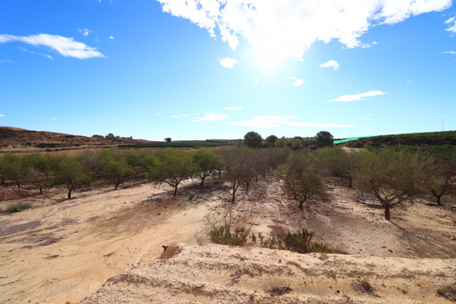   This 10.000m2 Plot in Torremendo is located in the vast Countryside, between San Miguel de Salinas, Bigastro &amp; Orihuela. Within just a 2-minu...