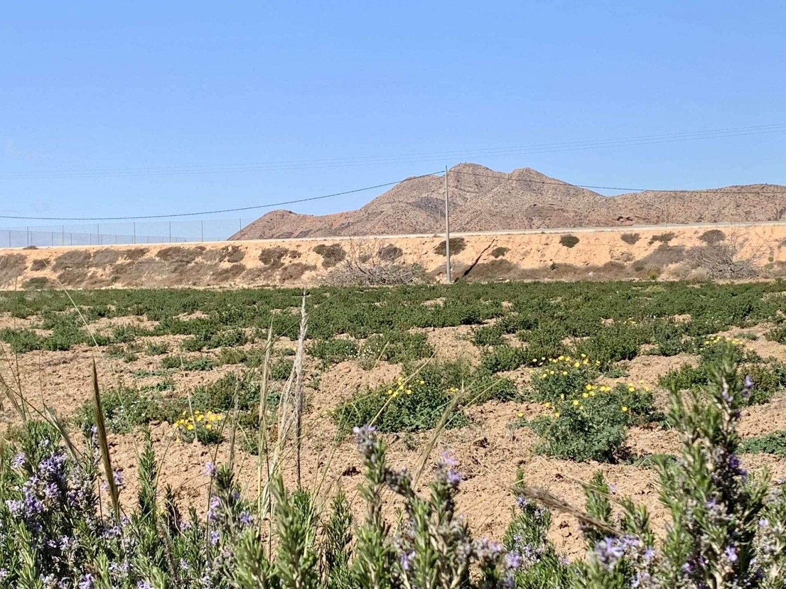 Ebenerdiges Haus mit Meerblick und guter Lage mit Pool