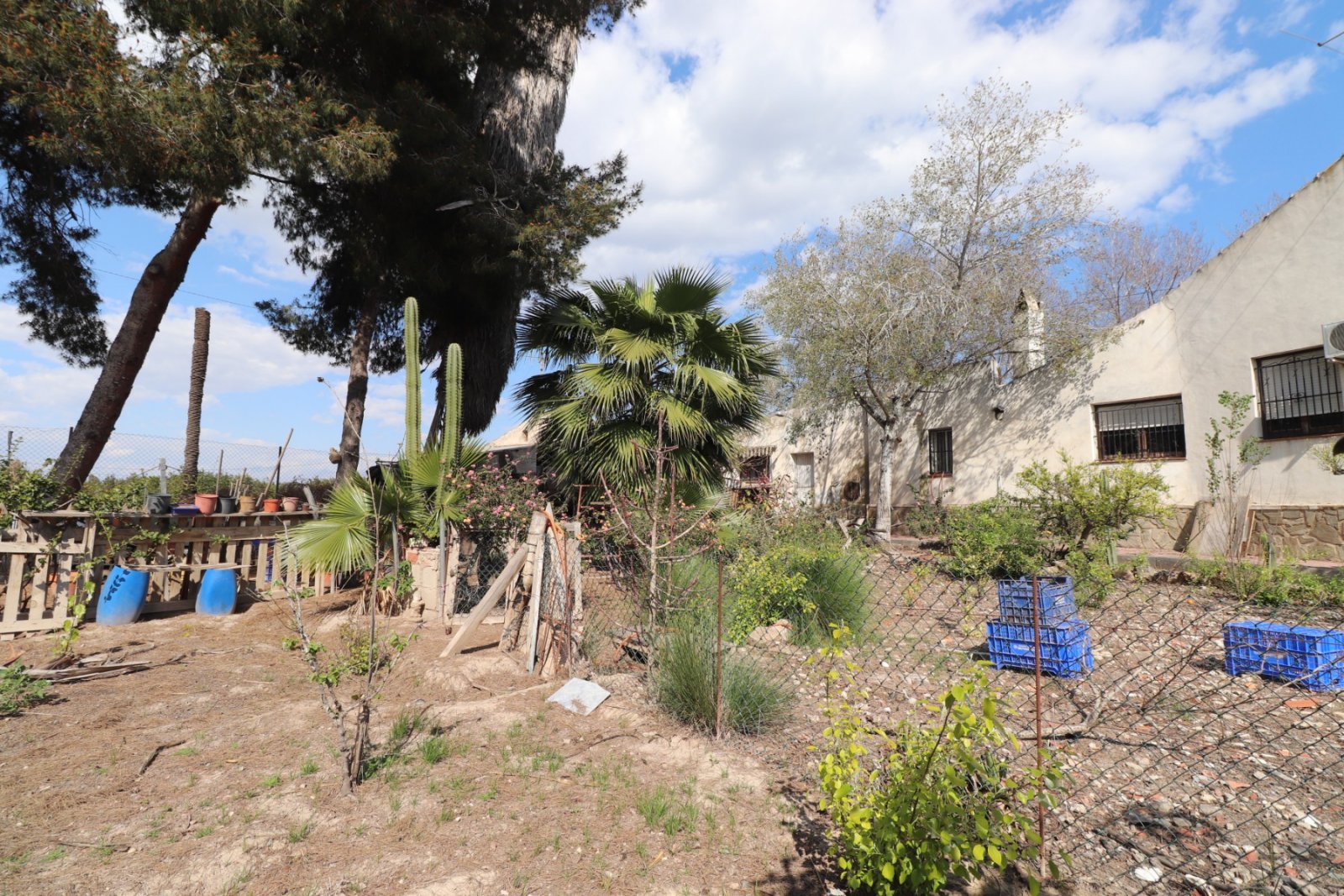 Mediterranes Leben mit viel Freiraum