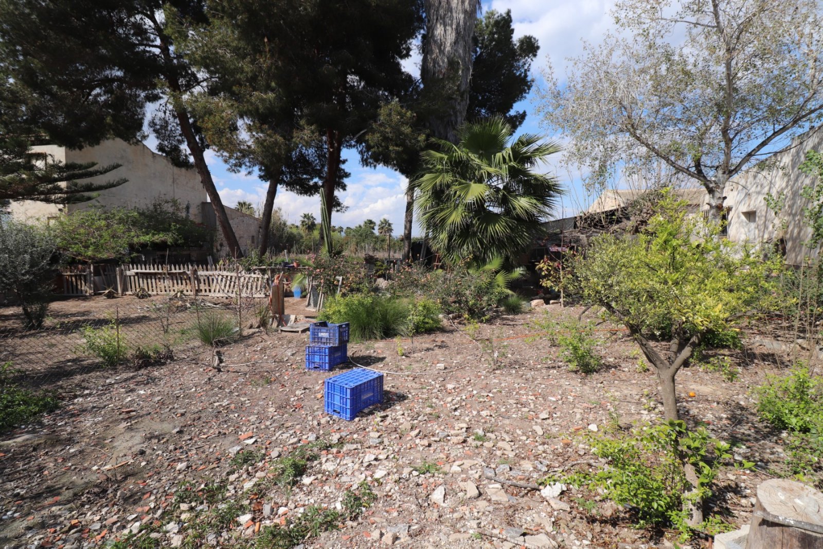 Mediterranes Leben mit viel Freiraum