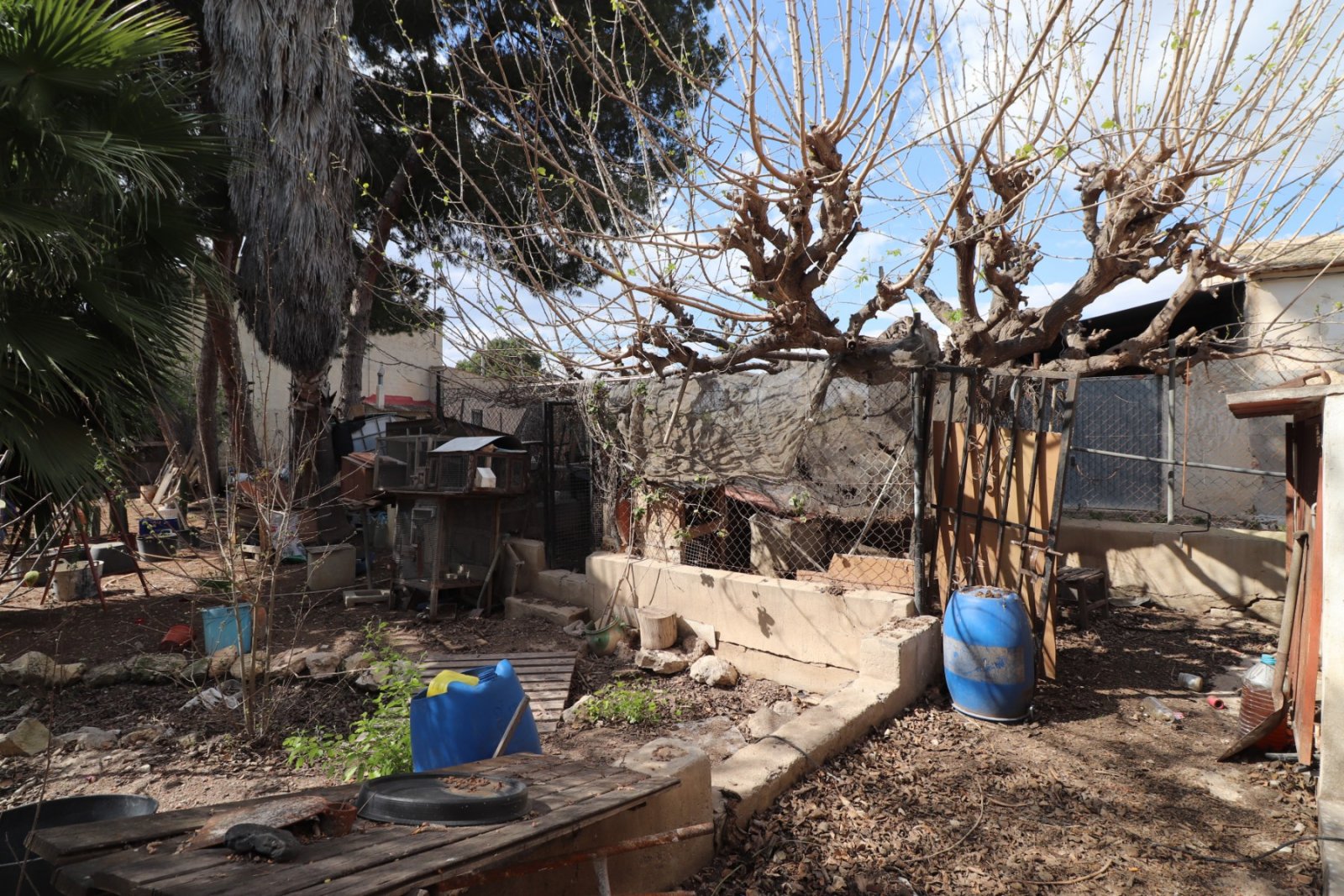 Mediterranes Leben mit viel Freiraum