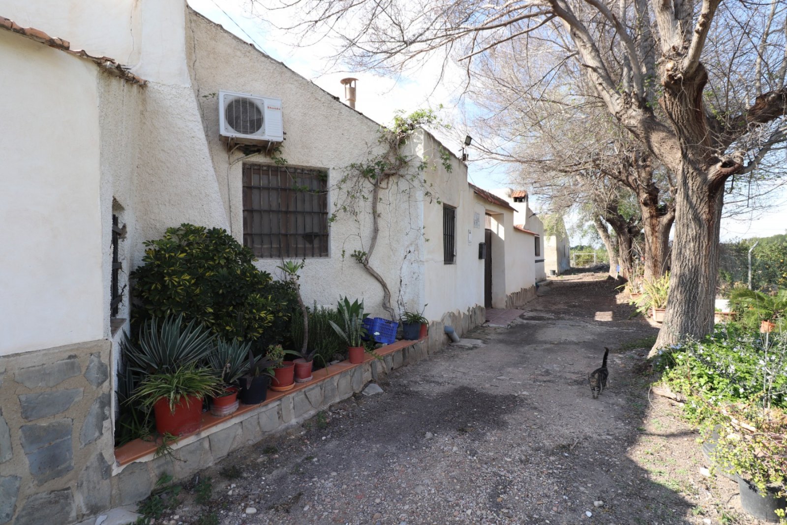 Mediterranes Leben mit viel Freiraum