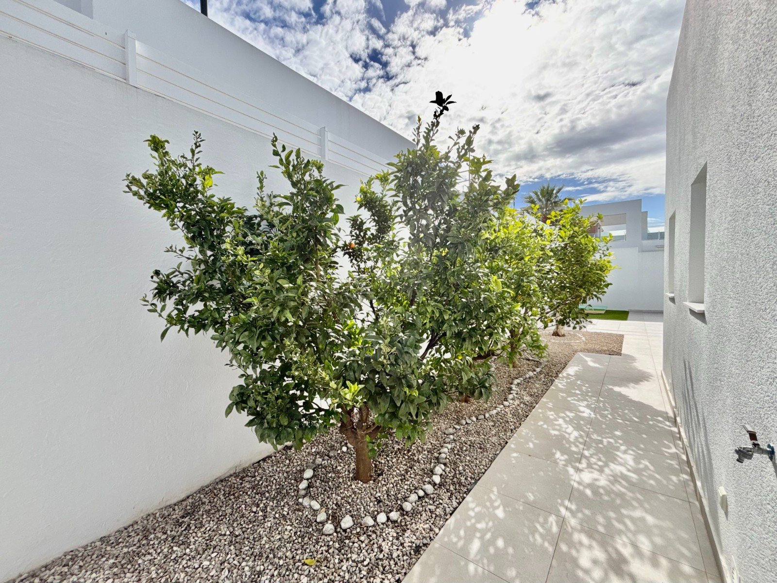   This As New, South Facing, Three Bedroom, Corner Detached Villa in Benijofar is located on the edge of this buzzing and highly sought-after town,...