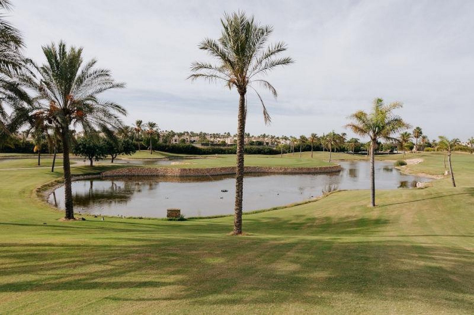 <p>Terraced villa provided with 3 Bedrooms and 3 Bathrooms, private swimming pool and parking space on own plot. </p><p>Each villa is thoughtfully ...