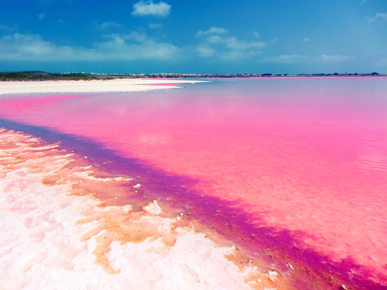 Exquisite Gartenwohnung in gepflegter Anlage mit Pool und Stellplatz