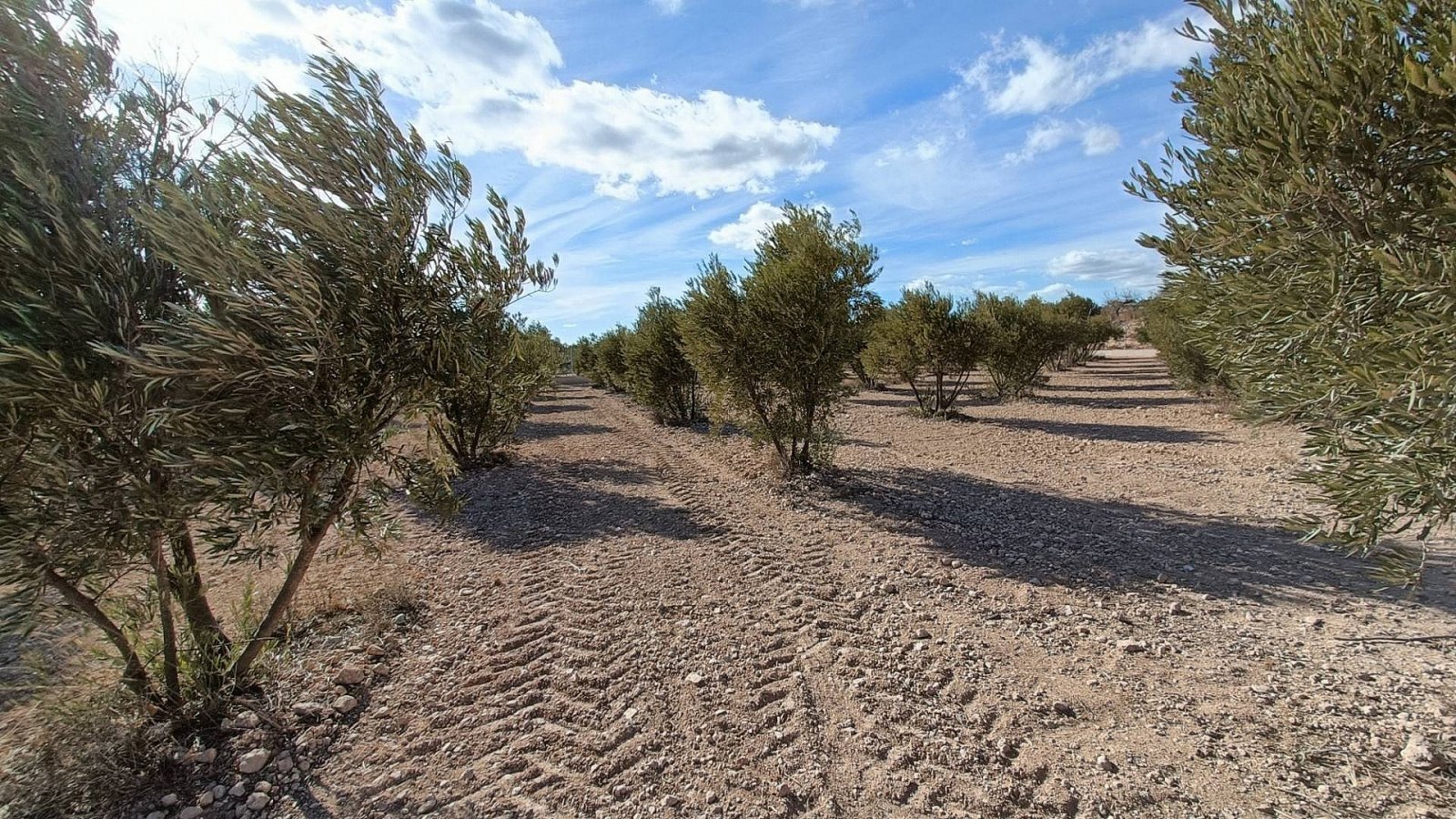 <p>Villa provided with 3 Bedrooms and 2 Bathrooms, optional swimming pool and carport. </p><p>We are delighted to present this fabulous brand new b...