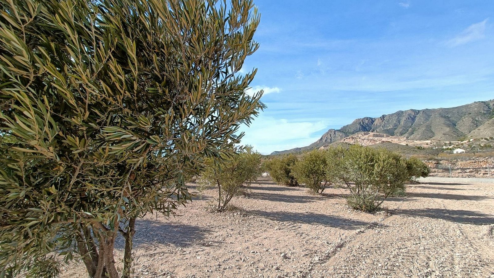 <p>Villa provided with 3 Bedrooms and 2 Bathrooms, optional swimming pool and carport. </p><p>We are delighted to present this fabulous brand new b...