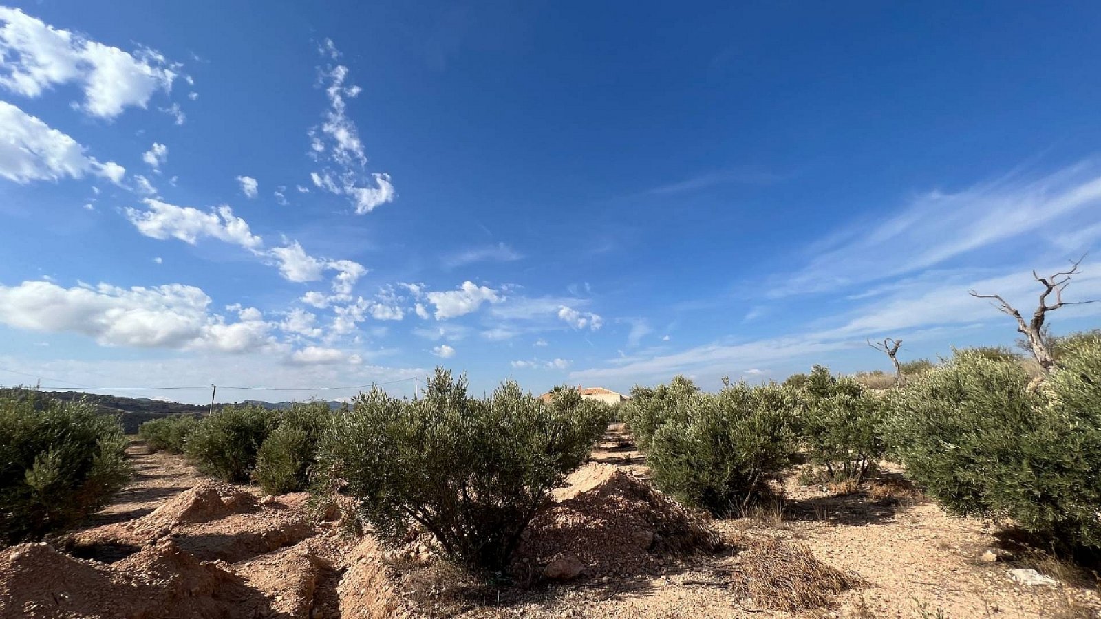 <p>Villa provided with 3 Bedrooms and 2 Bathrooms, optional swimming pool and carport. </p><p>We are delighted to present this fabulous brand new b...