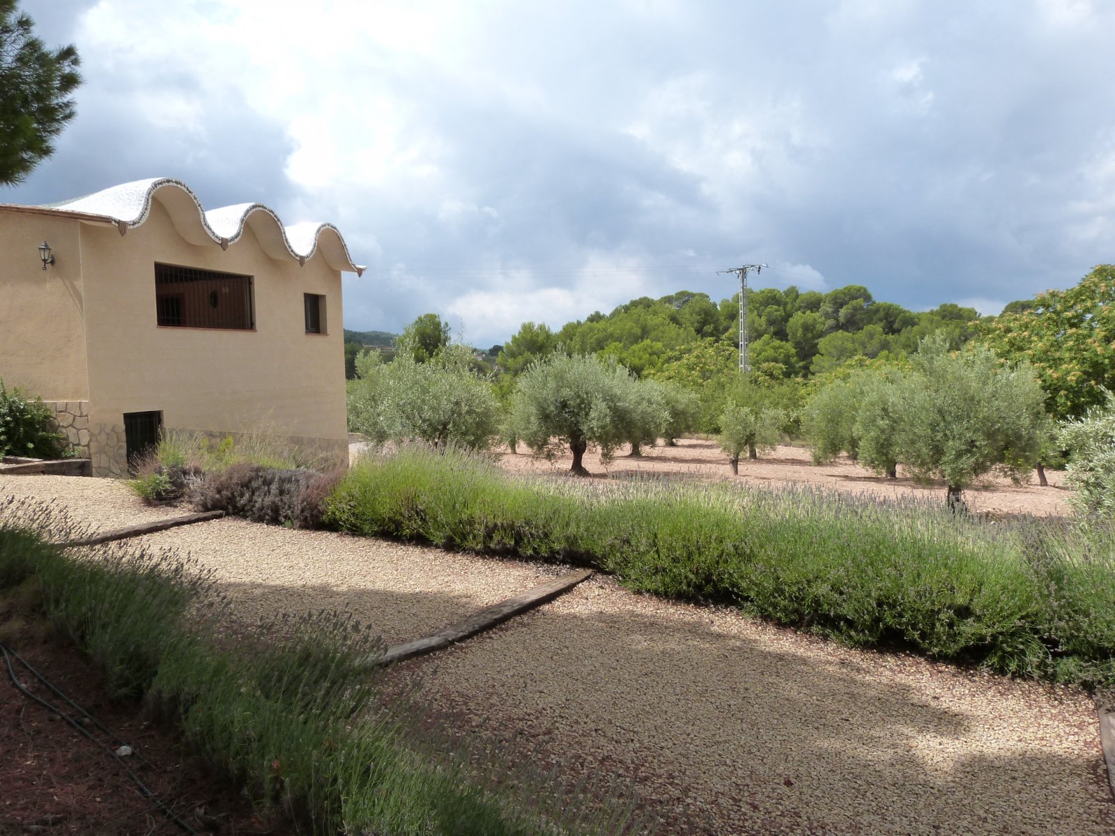   <br />	 This Magnificent, 15 bedroom, Traditional Spanish Farmhouse in Ibi (one of only fifteen masias in the Vinalopo Valley] is located on a tr...